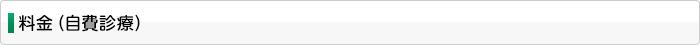料金（自費診療）