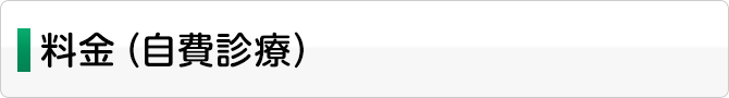 料金（自費診療）