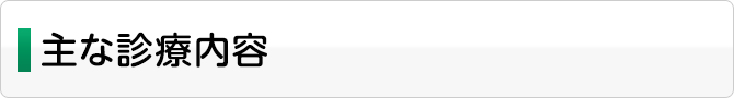 主な診療内容